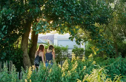 Hvidbjerg Strand Camping Resort Sti