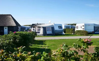 Hvidbjerg Strand Camping Resort Camping Luksusplads