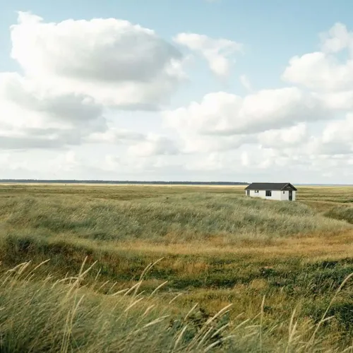 Hvidbjerg Strand Camping Resort Natur Hytte Panorama